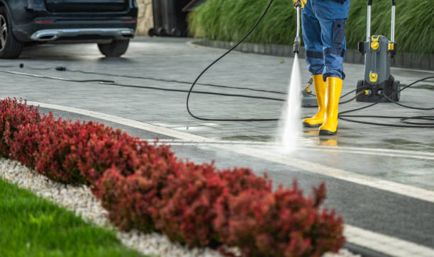 Best House Exterior Washing  in Clintwood, VA